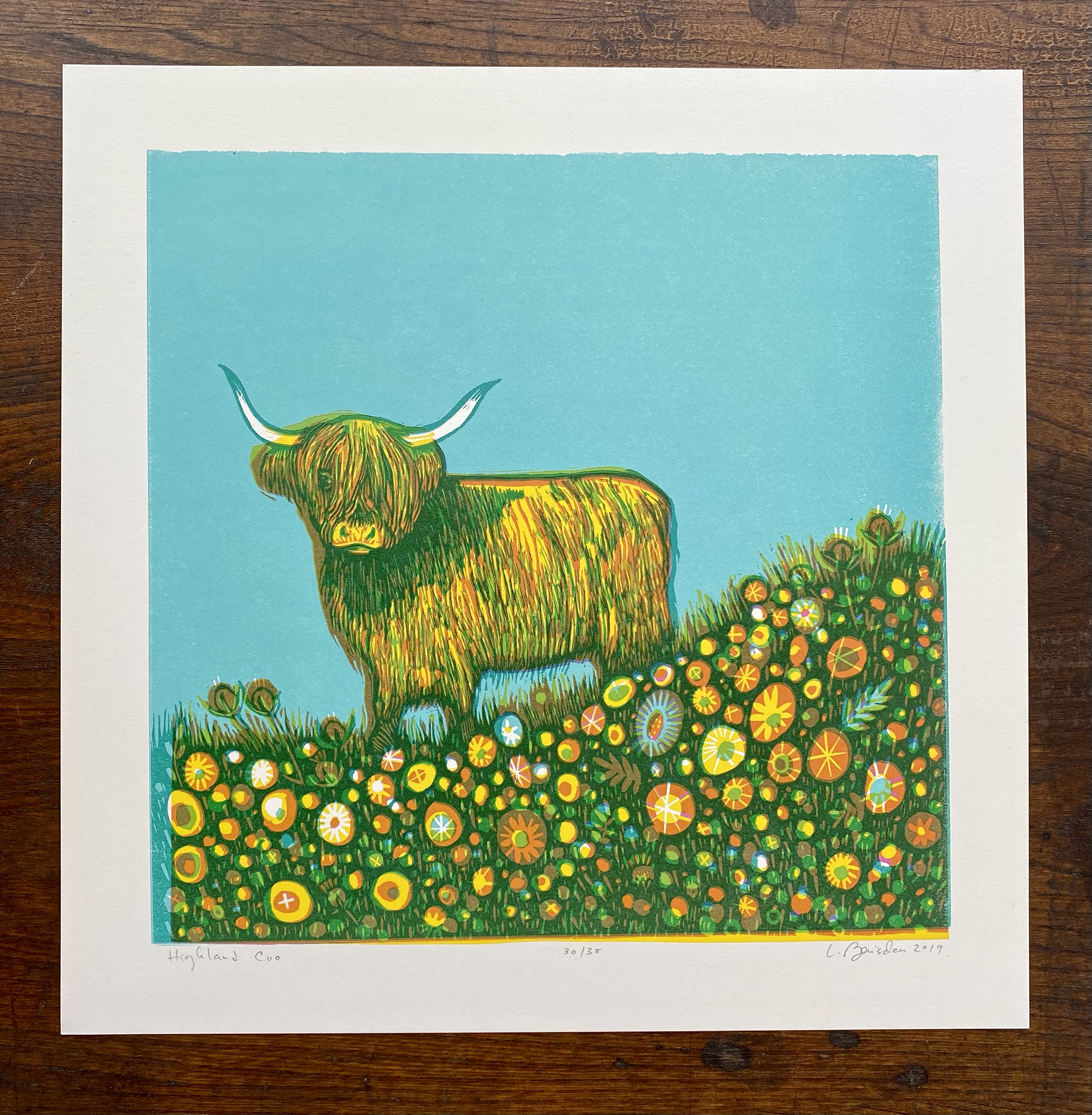 HighlandCow-copy