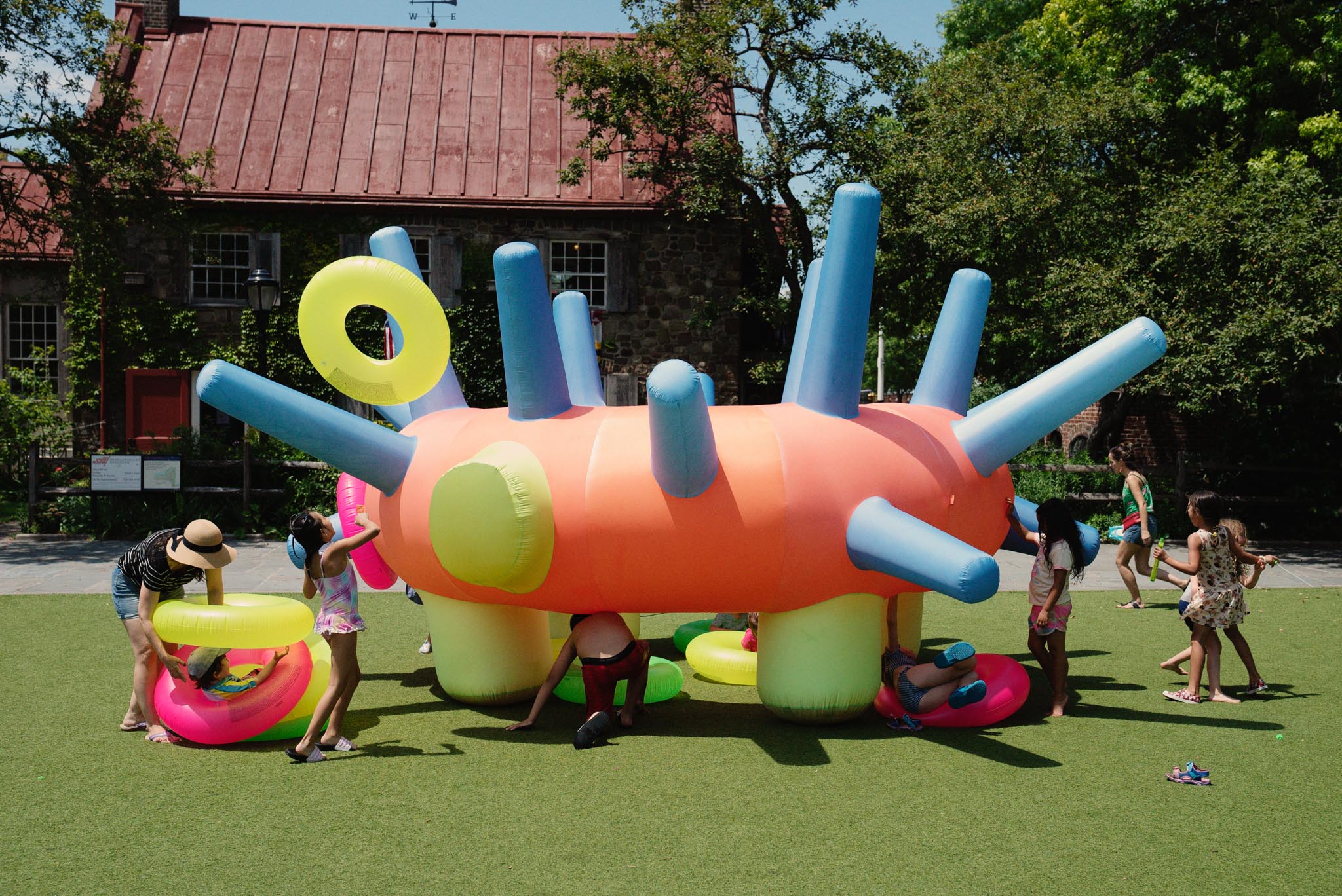 Hedgehog 2 Mark Zlotsky